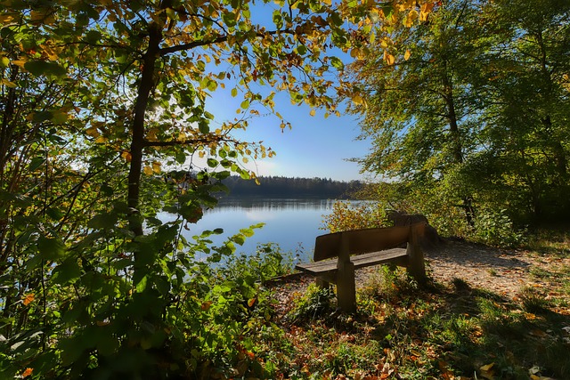 的重要节点 的重要节点
